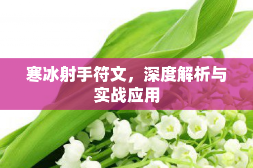 深度解析与实战应用图片