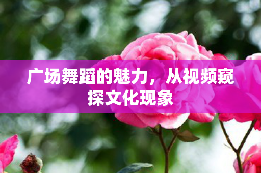 从视频窥探文化现象图片