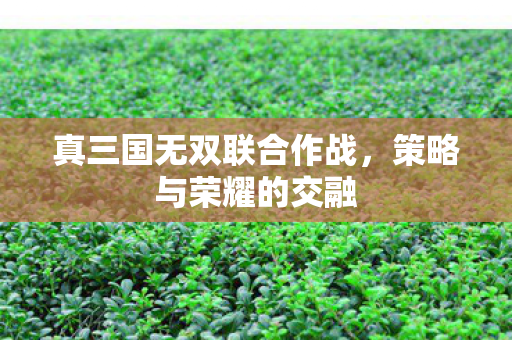 真三国无双联合作战图片