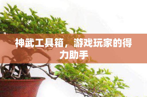 游戏玩家的得力助手图片