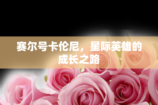 星际英雄的成长之路图片