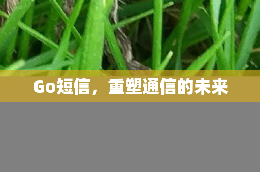 重塑通信的未来图片