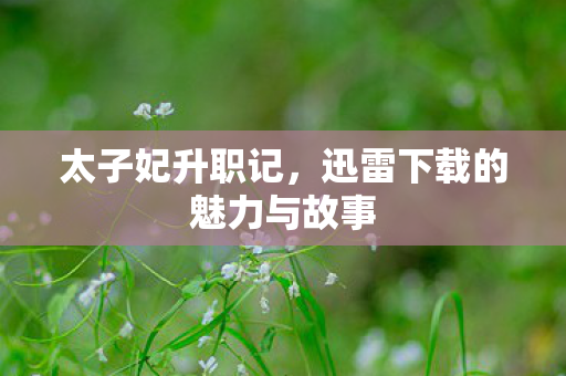 迅雷下载的魅力与故事图片