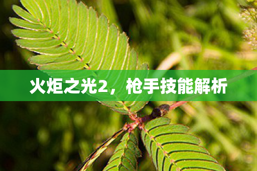 枪手技能解析图片
