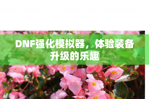 体验装备升级的乐趣图片