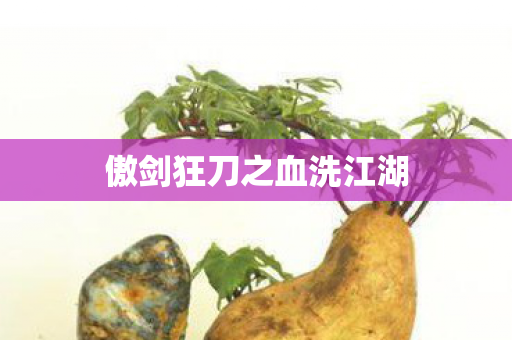 傲剑狂刀之血洗江湖图片