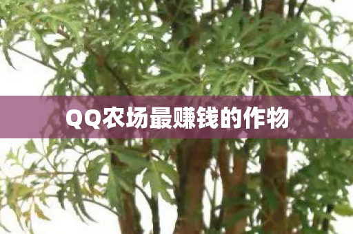 QQ农场最赚钱的作物图片