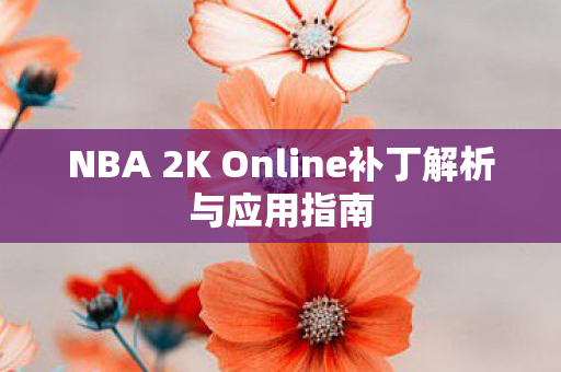 NBA 2K Online补丁解析与应用指南图片