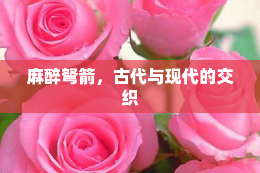 古代与现代的交织图片
