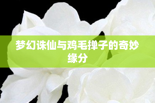 梦幻诛仙与鸡毛掸子的奇妙缘分图片