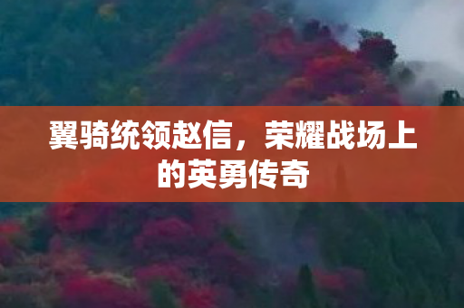 荣耀战场上的英勇传奇图片