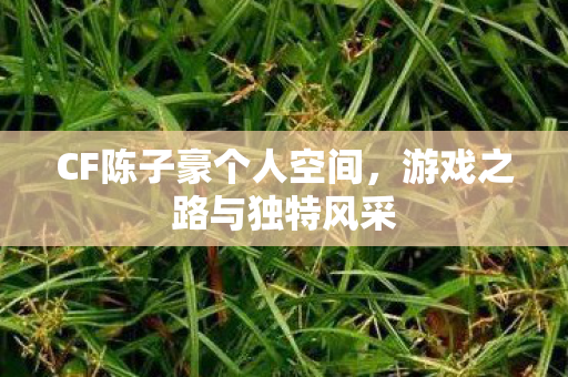 CF陈子豪个人空间图片