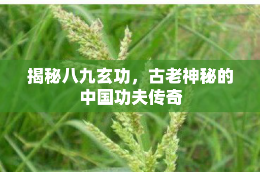 古老神秘的中国功夫传奇图片