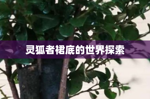 灵狐者裙底的世界探索图片