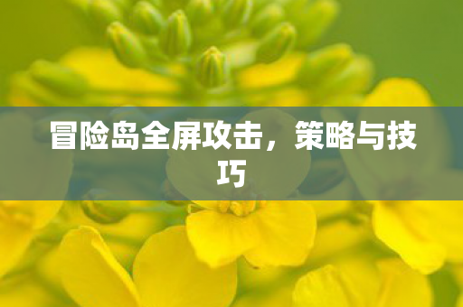 冒险岛全屏攻击图片
