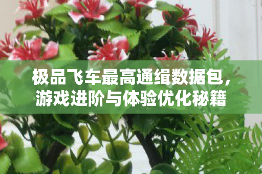 极品飞车最高通缉数据包图片