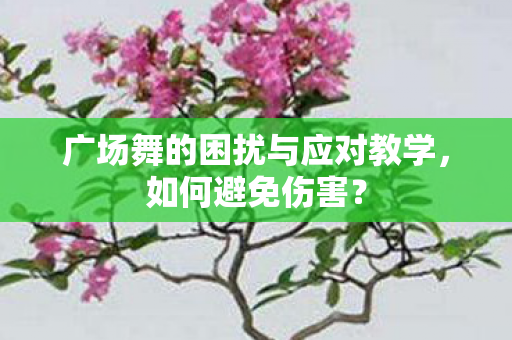 广场舞的困扰与应对教学图片