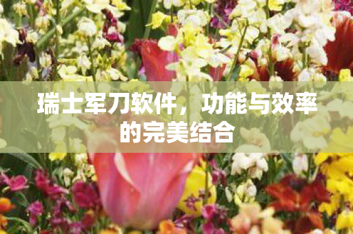 功能与效率的完美结合图片