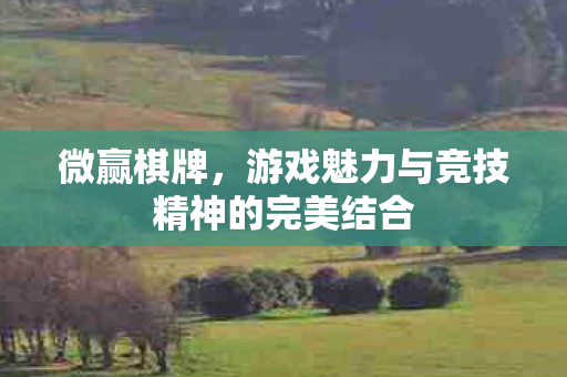 游戏魅力与竞技精神的完美结合图片