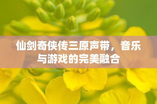 音乐与游戏的完美融合图片