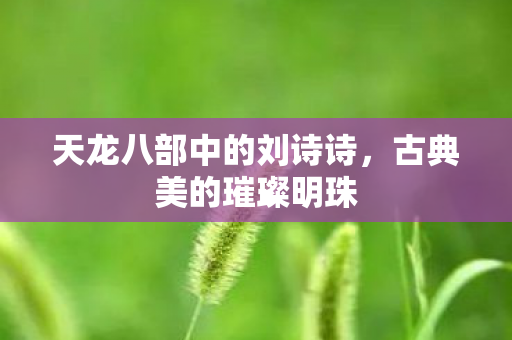 天龙八部中的刘诗诗图片