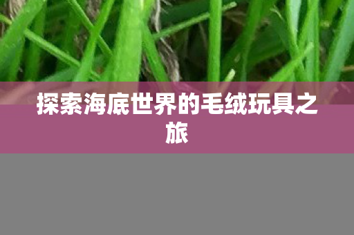 探索海底世界的毛绒玩具之旅图片