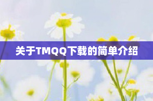 关于TMQQ下载的简单介绍图片