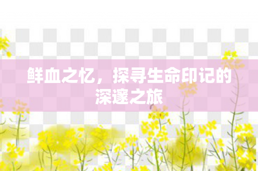 探寻生命印记的深邃之旅图片