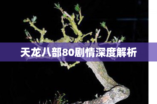 天龙八部80剧情深度解析图片