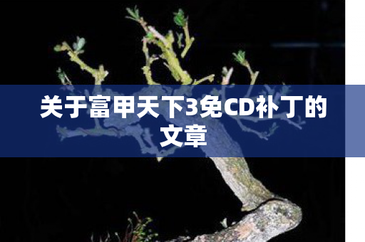 关于富甲天下3免CD补丁的文章图片