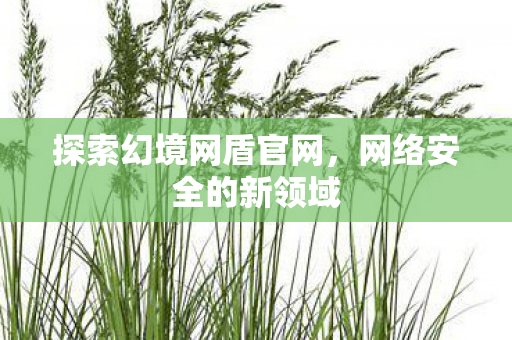 探索幻境网盾官网图片