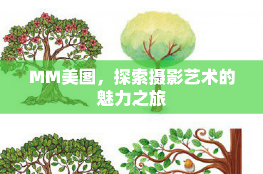 探索摄影艺术的魅力之旅图片