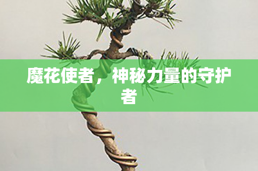 神秘力量的守护者图片