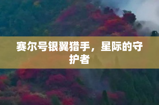 赛尔号银翼猎手图片