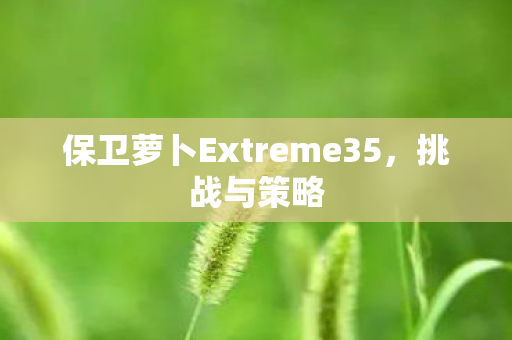保卫萝卜Extreme35图片