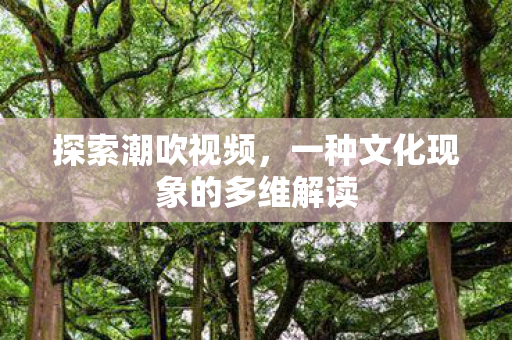 一种文化现象的多维解读图片