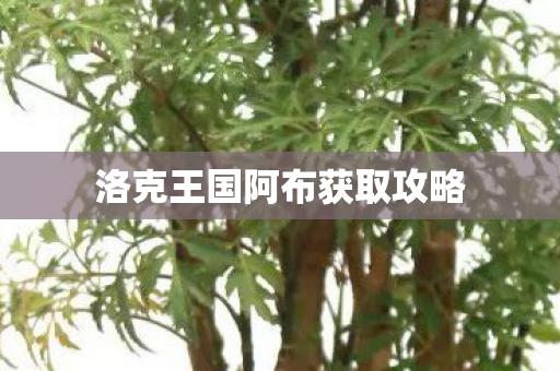 洛克王国阿布获取攻略图片