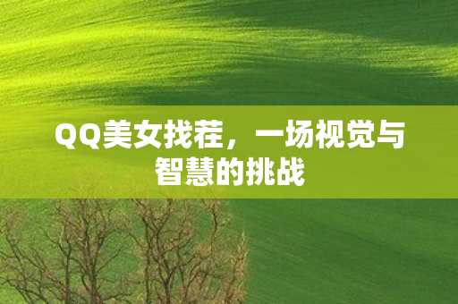 一场视觉与智慧的挑战图片