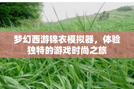 体验独特的游戏时尚之旅图片