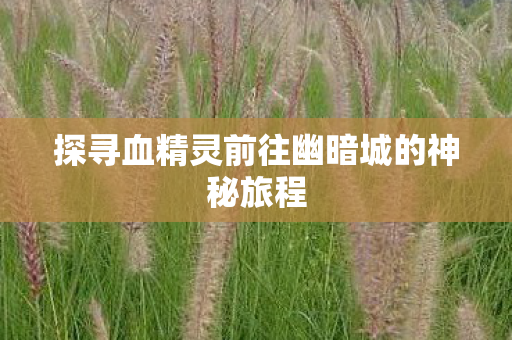 探寻血精灵前往幽暗城的神秘旅程图片