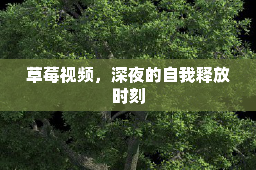 深夜的自我释放时刻图片