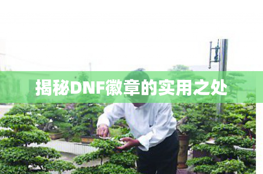 揭秘DNF徽章的实用之处图片