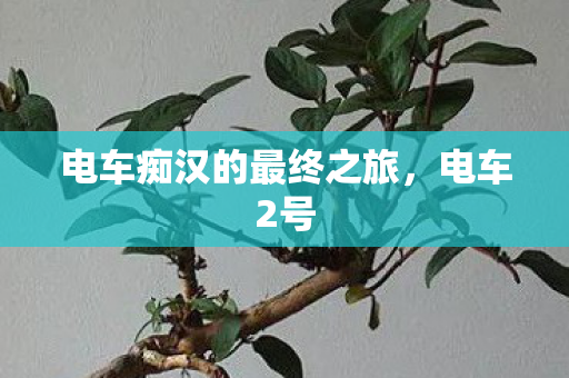 电车痴汉的最终之旅图片