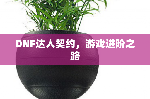 DNF达人契约图片