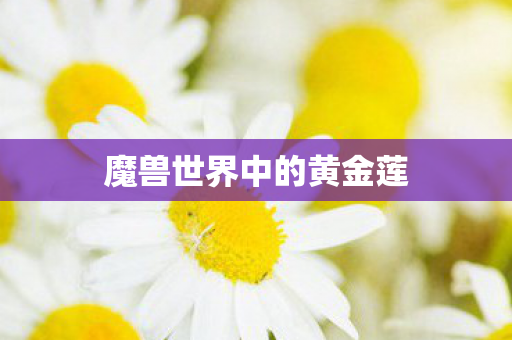 魔兽世界中的黄金莲图片
