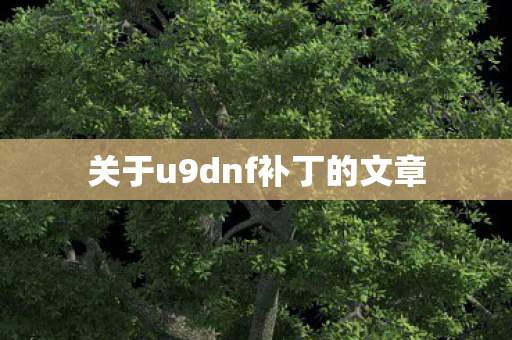 关于u9dnf补丁的文章图片