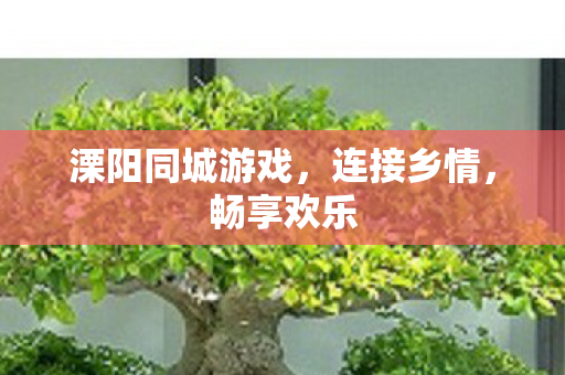 溧阳同城游戏图片