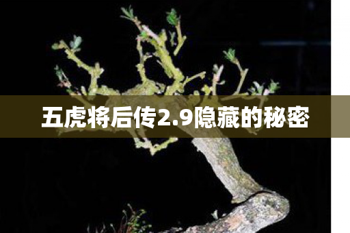 五虎将后传2图片