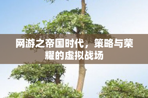 策略与荣耀的虚拟战场图片