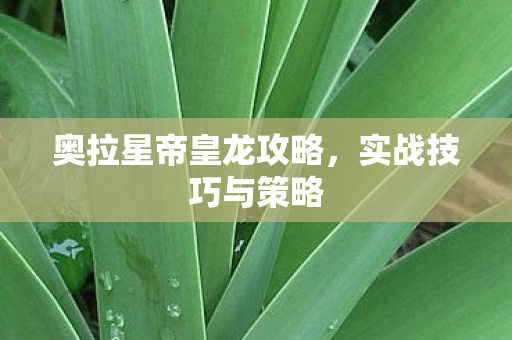 奥拉星帝皇龙攻略图片